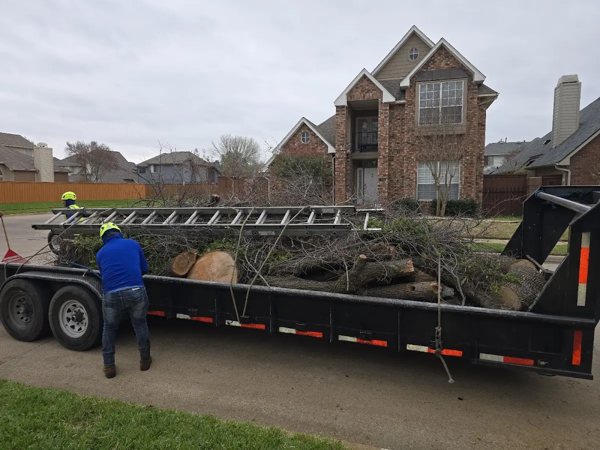 Expert Tree Fertilization with proper safety equipment in Ranchester